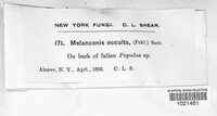 Image Associated With the Occurence